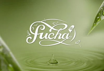 FU CHA 福茶｜品牌與包裝設計