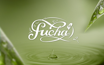 FU CHA 福茶｜品牌與包裝設計