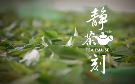 TEAPAUSE 靜茶刻｜品牌設計